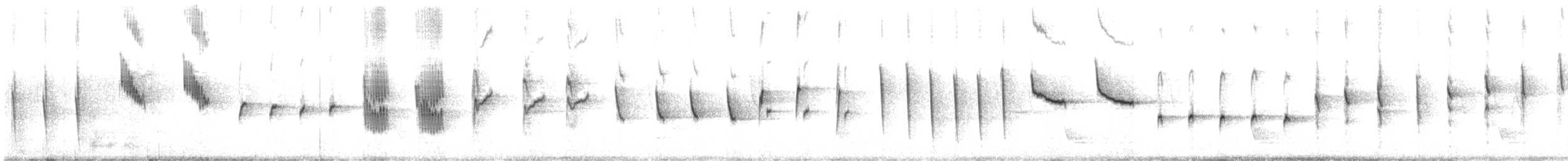 South Island Robin - ML632886573