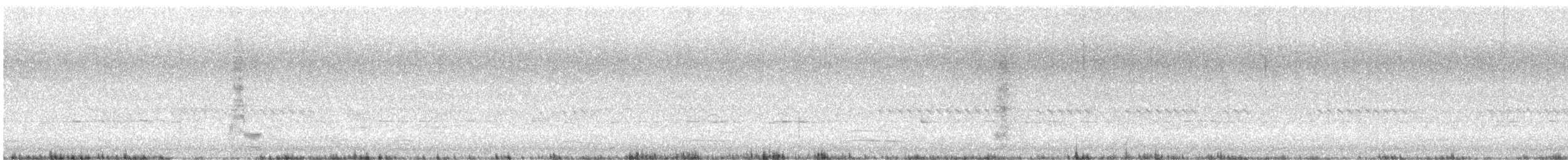 Spangled Drongo - ML632887502