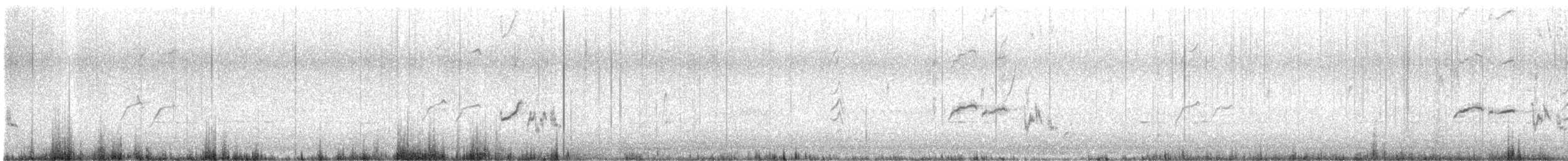 Red-rumped Parrot - ML632887891