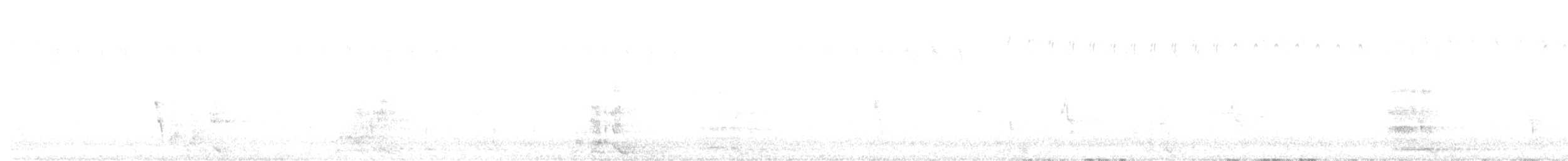 Yellow Wattlebird - ML632889755