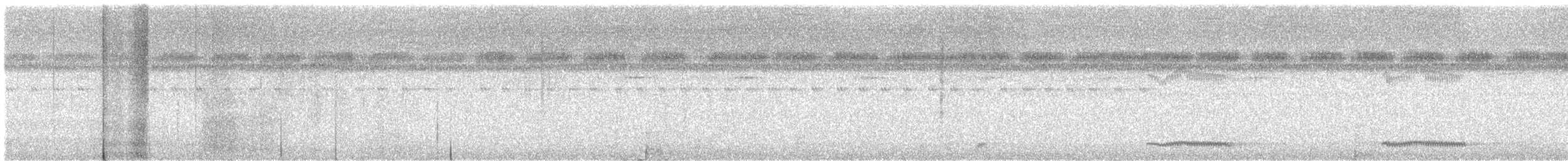 Cuban Nightjar - ML632894992