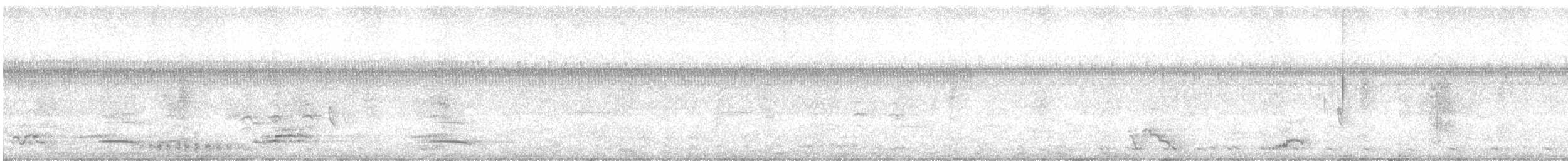 Stripe-backed Bittern - ML632899447