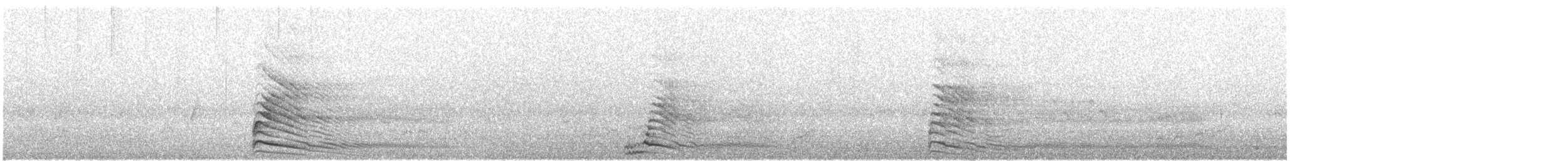 Gray Go-away-bird - ML632900760