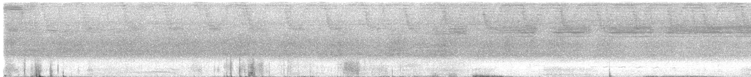 Dusky Pigeon - ML632902227