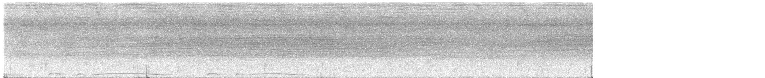 pigeon/dove sp. - ML632902231