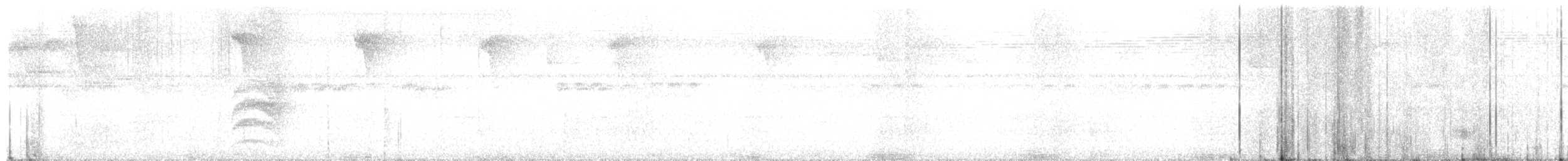 Chestnut-backed Antbird - ML632903178