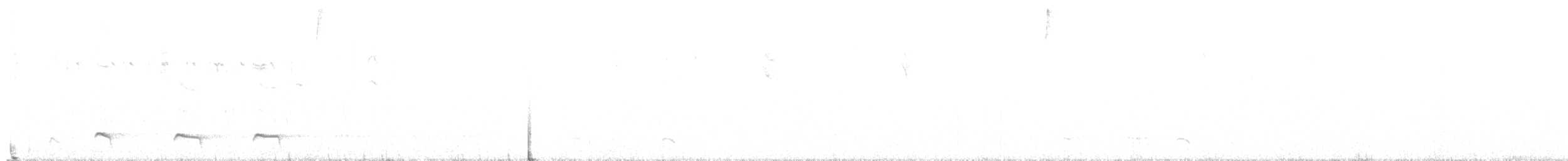 Tawny Antpitta - ML632903447