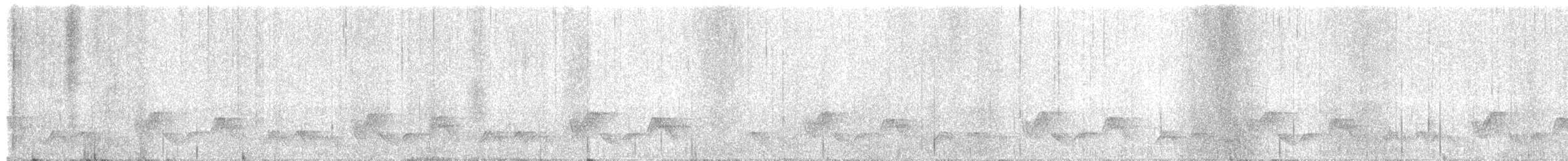 wren sp. - ML632904038