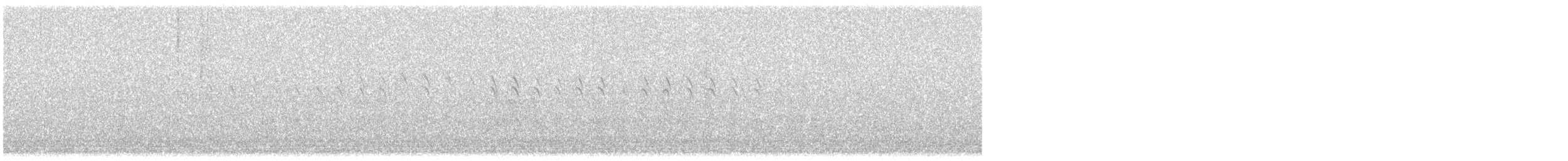 Качка sp. - ML632907568