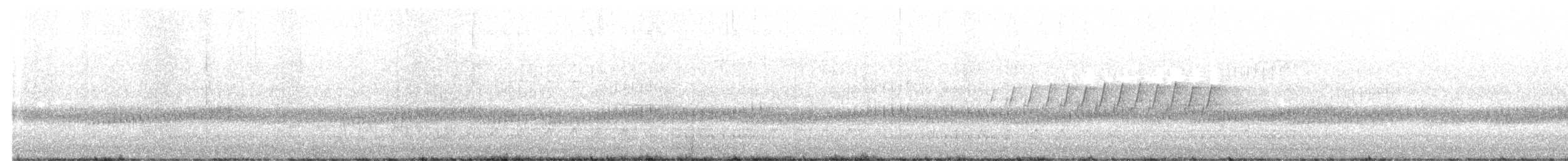 Pine Warbler - ML632911052