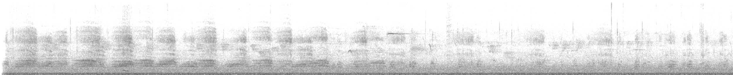 Mallard (Domestic type) - ML632916445