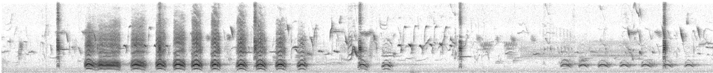 Corneille d'Amérique - ML632916675