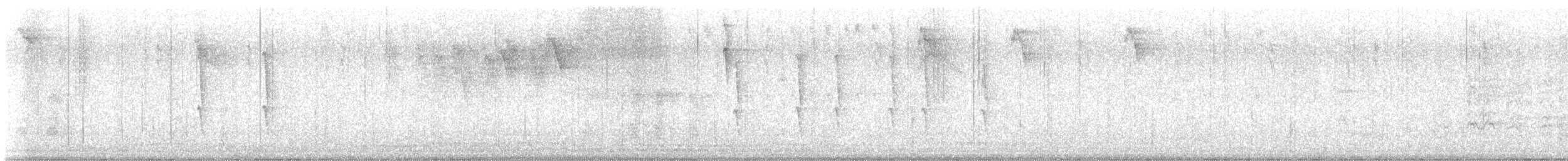 Sombre Hummingbird - ML632918449