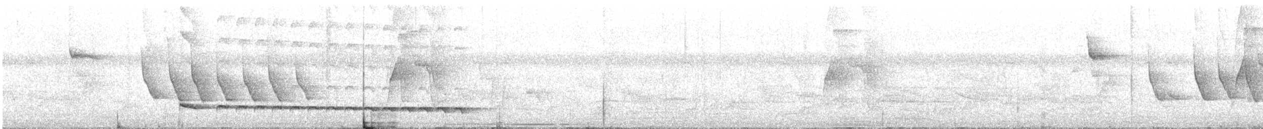 Mayan Antthrush - ML632918605