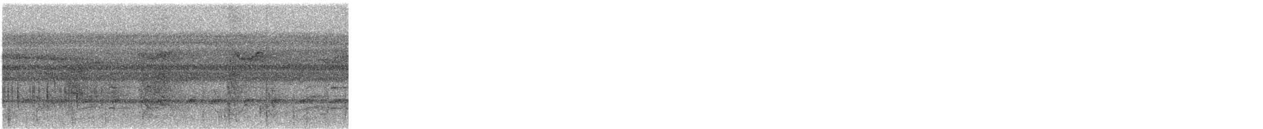 White-bellied Kingfisher