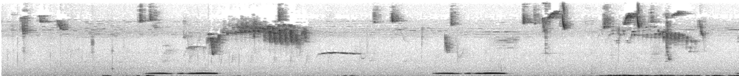 Large-tailed Dove - ML632927668