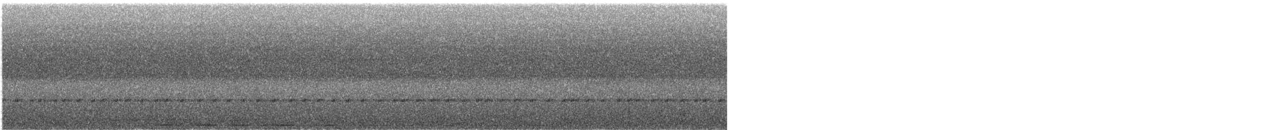 Weißbauchkuckuck - ML632937166