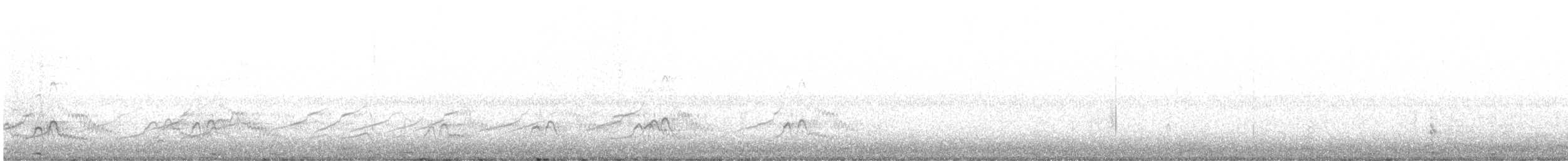 Chiloe Wigeon - ML632938625