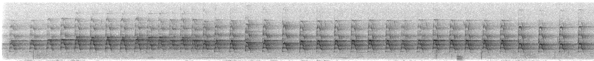 West African Pied Hornbill - ML632942915