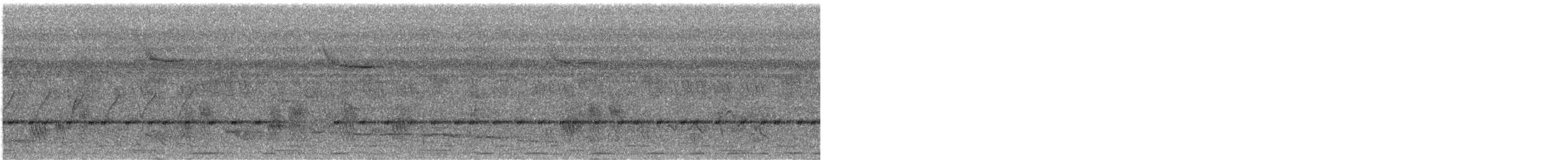 Western Bluebill (Western) - ML632947141
