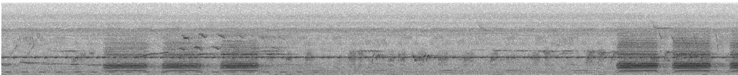 Pied Crow - ML632947149