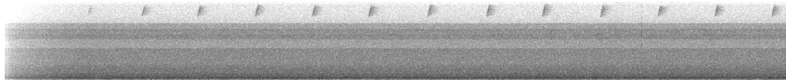 Speckled Hummingbird - ML632947201