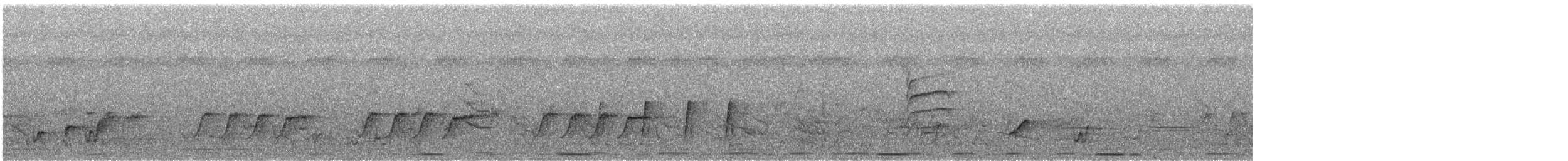 Black-headed Paradise-Flycatcher (Red-bellied)