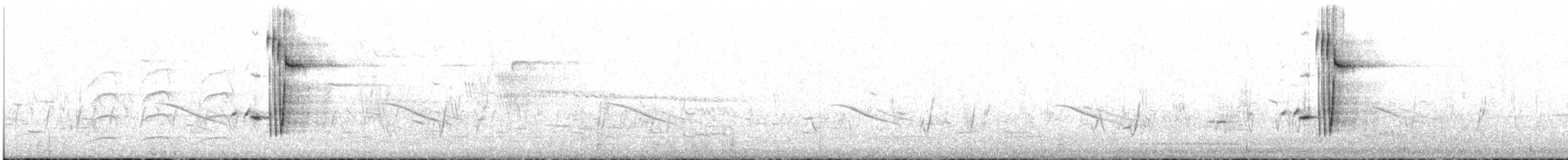 コシアカヒバリモドキ - ML632957029