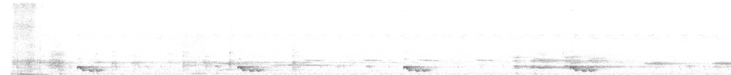 Chotacabras Marajá - ML632958170