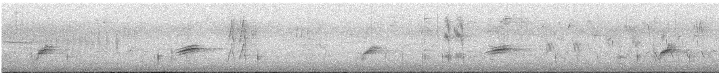 rødsidetovi - ML632961029