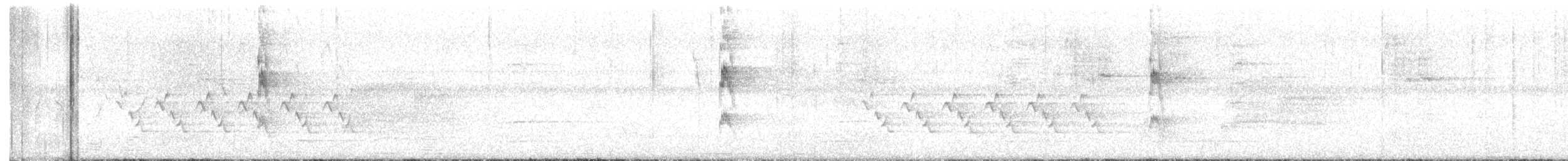 Red-cockaded Woodpecker - ML632961567
