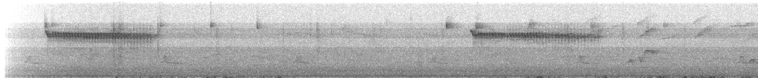 hvitsideblomsterborer - ML632963301