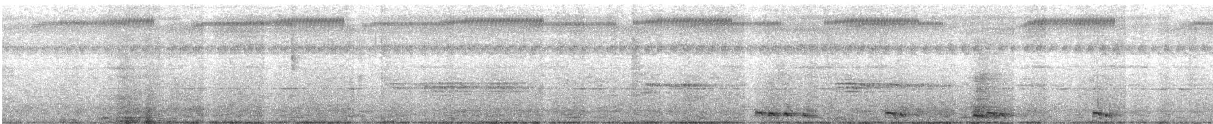 Blue-bearded Bee-eater - ML632963439