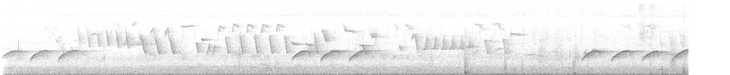 spettmeis (europaea gr.) - ML632968537