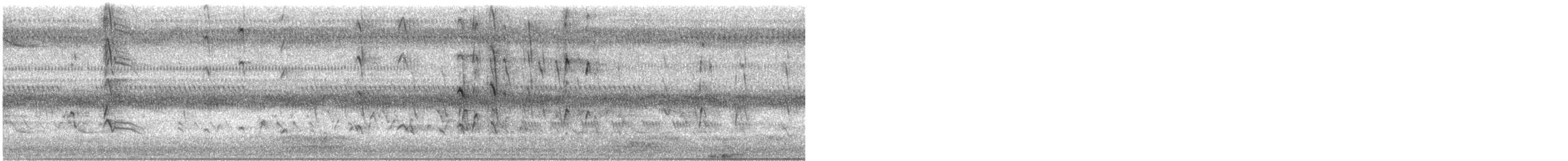 husička černobřichá - ML632971488