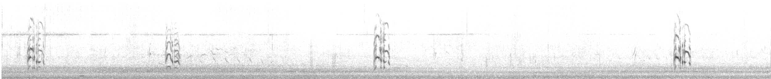 Beccapesci (sandvicensis) - ML632974195