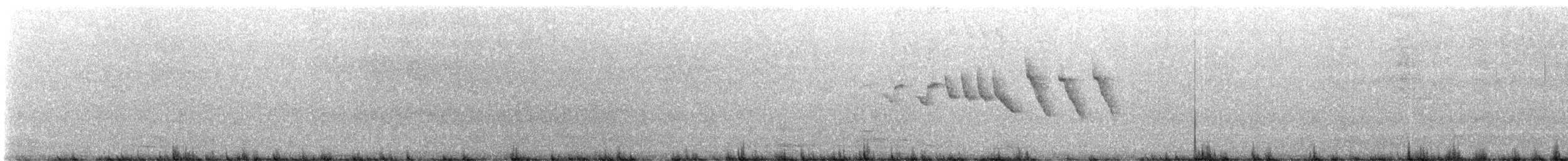 Adelaide's Warbler - ML632985822