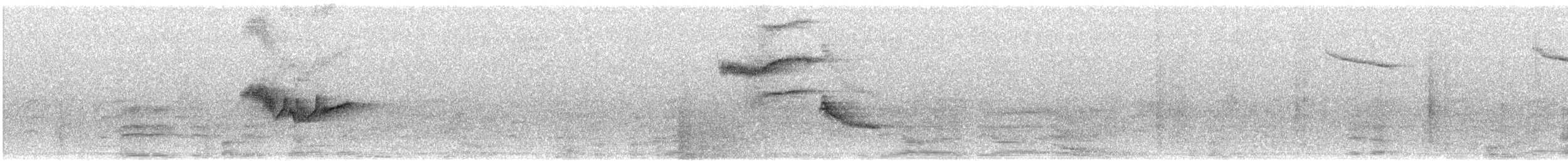 クロヒタキ - ML632990456