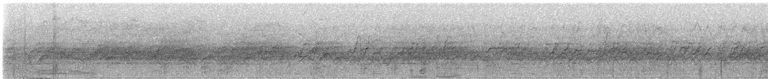 White-faced Whistling-Duck