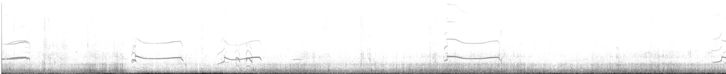 オオソリハシシギ - ML632994884