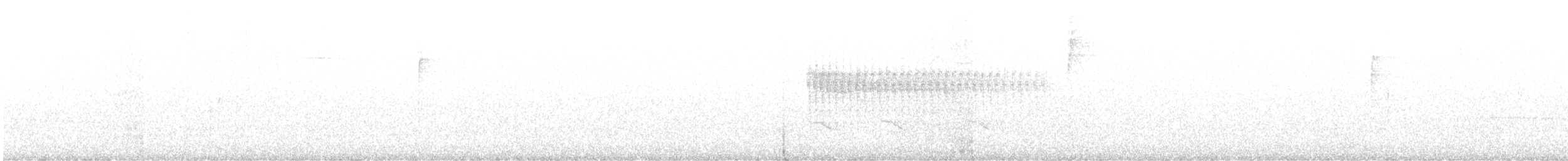 hvitsideblomsterborer - ML632995399