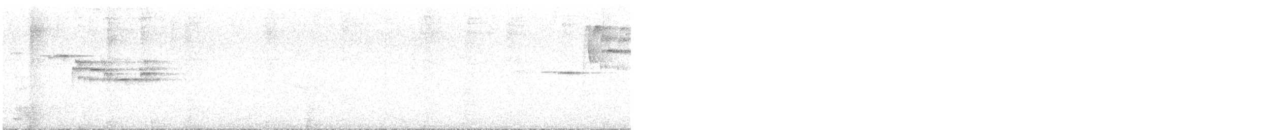 Black-billed Nightingale-Thrush - ML632995724