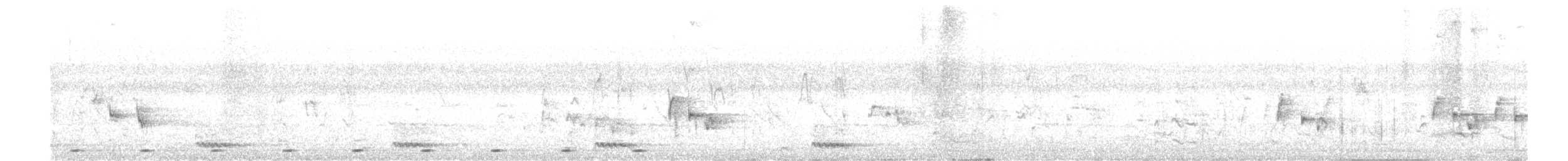 Malabar Barbeti - ML632997050