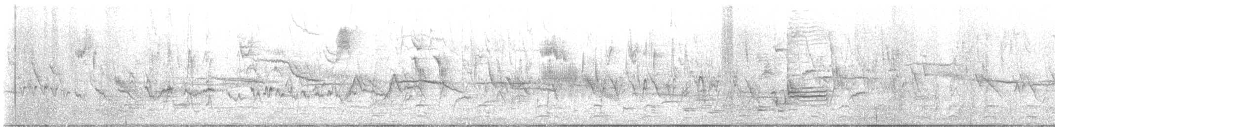 Chingolo Campestre - ML633000490