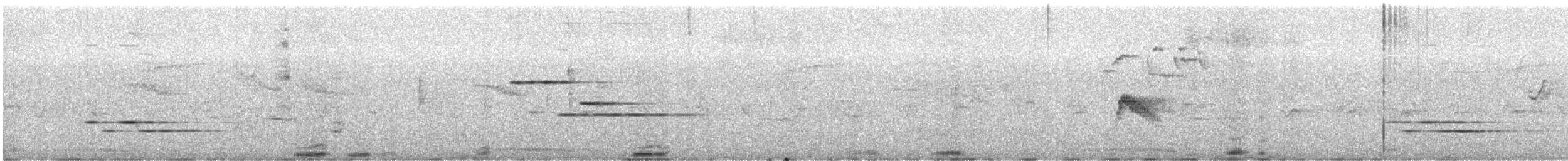 Black-faced Solitaire - ML633003462