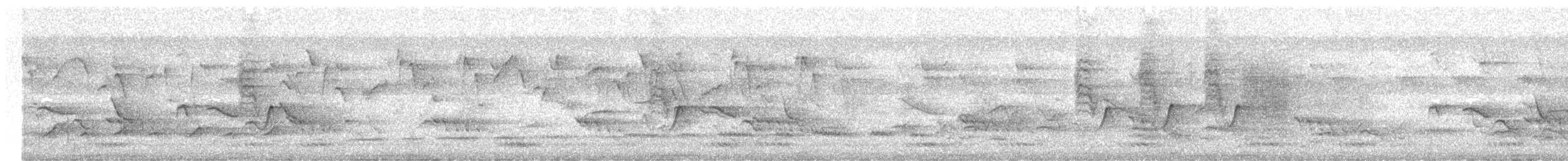 Malabar Woodshrike - ML633004283