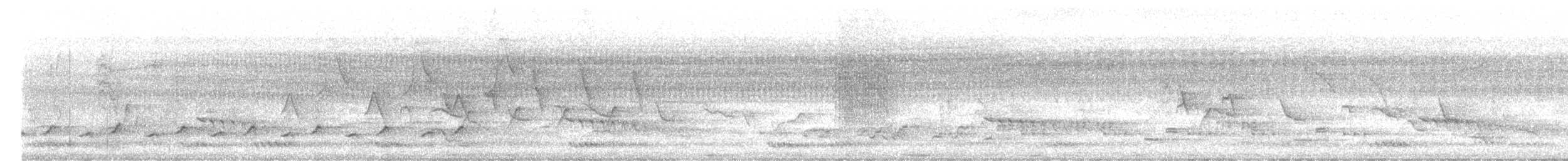 Malabar Woodshrike - ML633004284