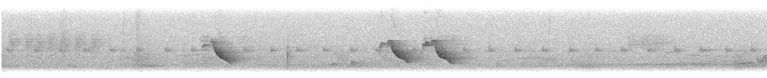 Buff-breasted Babbler - ML633004421