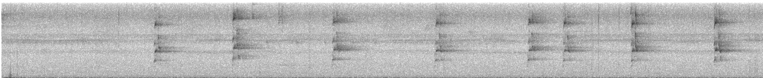 Bindenarassari - ML633008164