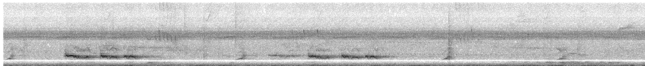 Kaatinga Pufkuşu (maculatus) - ML633013621
